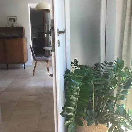 Mily - Redlowo Gdynia