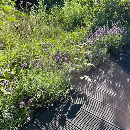 Mily - Redlowo Apartamento Gdynia