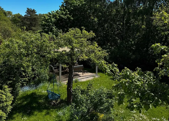 Mily - Redlowo גדינייה