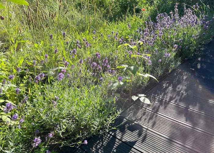 Mily - Redlowo דירה גדינייה